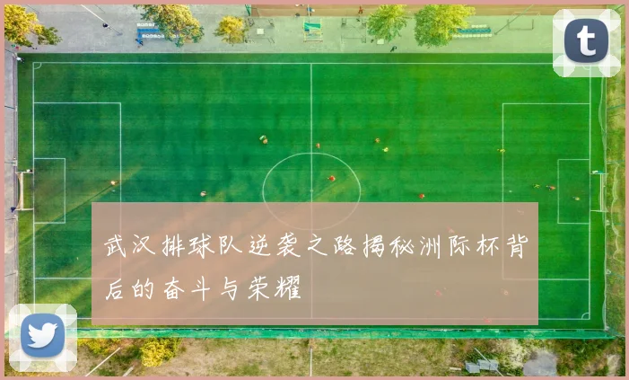 武汉排球队逆袭之路揭秘洲际杯背后的奋斗与荣耀