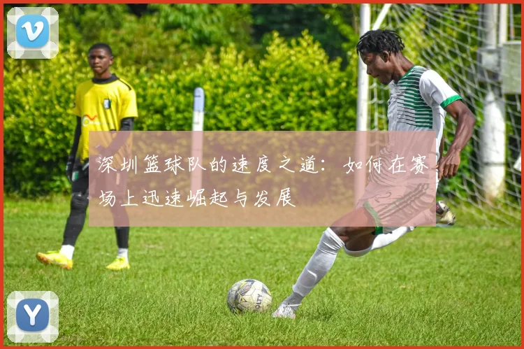 深圳篮球队的速度之道：如何在赛场上迅速崛起与发展