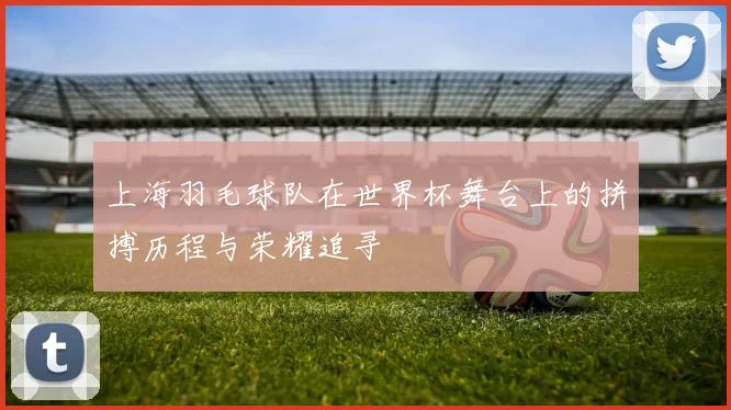 上海羽毛球队在世界杯舞台上的拼搏历程与荣耀追寻