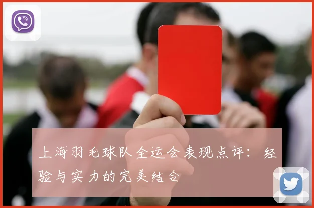 上海羽毛球队全运会表现点评：经验与实力的完美结合