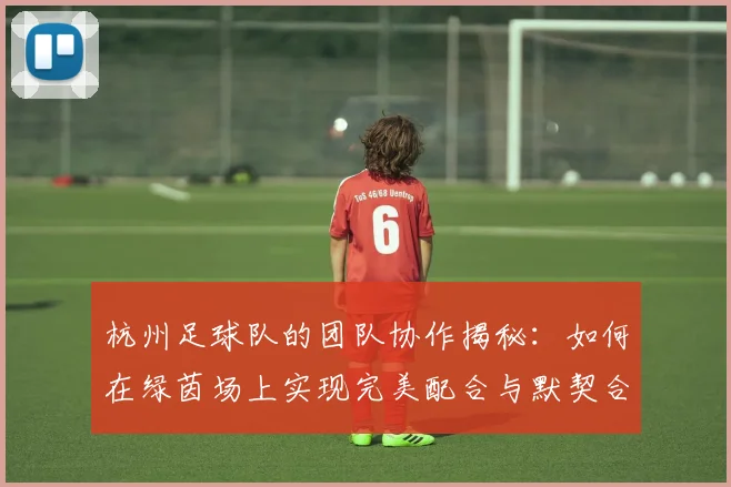 杭州足球队的团队协作揭秘：如何在绿茵场上实现完美配合与默契合作