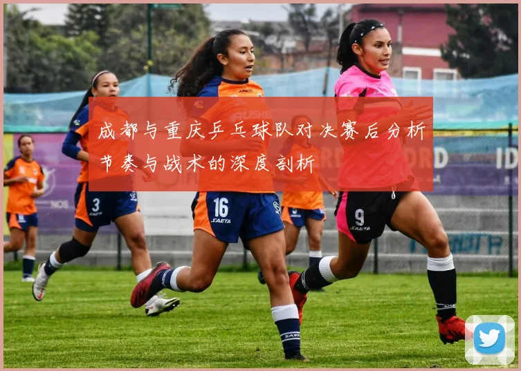 成都与重庆乒乓球队对决赛后分析节奏与战术的深度剖析