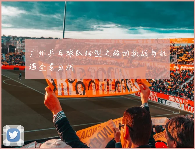 广州乒乓球队转型之路的挑战与机遇全景分析