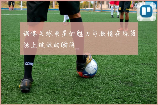 偶像足球明星的魅力与激情在绿茵场上绽放的瞬间