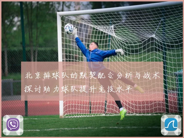 北京排球队的默契配合分析与战术探讨助力球队提升竞技水平