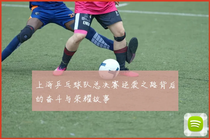 上海乒乓球队总决赛逆袭之路背后的奋斗与荣耀故事