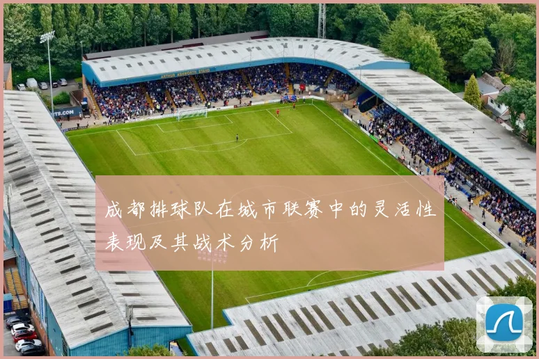 成都排球队在城市联赛中的灵活性表现及其战术分析